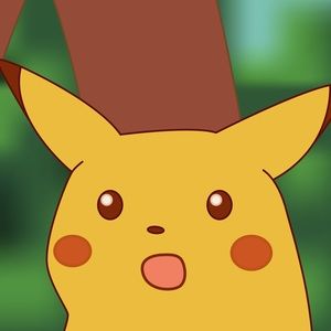 Meet your Posher, Connor